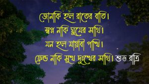 Good Night Sms Bangla Good Night Message
